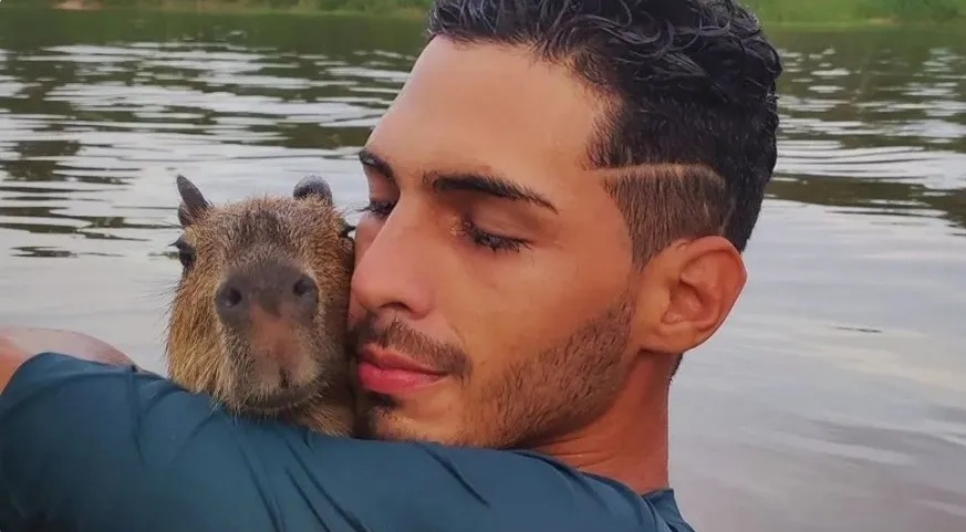 Ibama notifica “pai” de capivara a devolver animal; influencer diz que vai recorrer