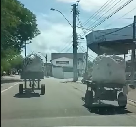 VÍDEO: "Corrida" entre carroças é flagrada na Avenida Nevaldo Rocha