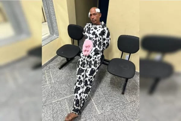 Ladrão fantasiado de vaca é preso ao tentar furtar jovem