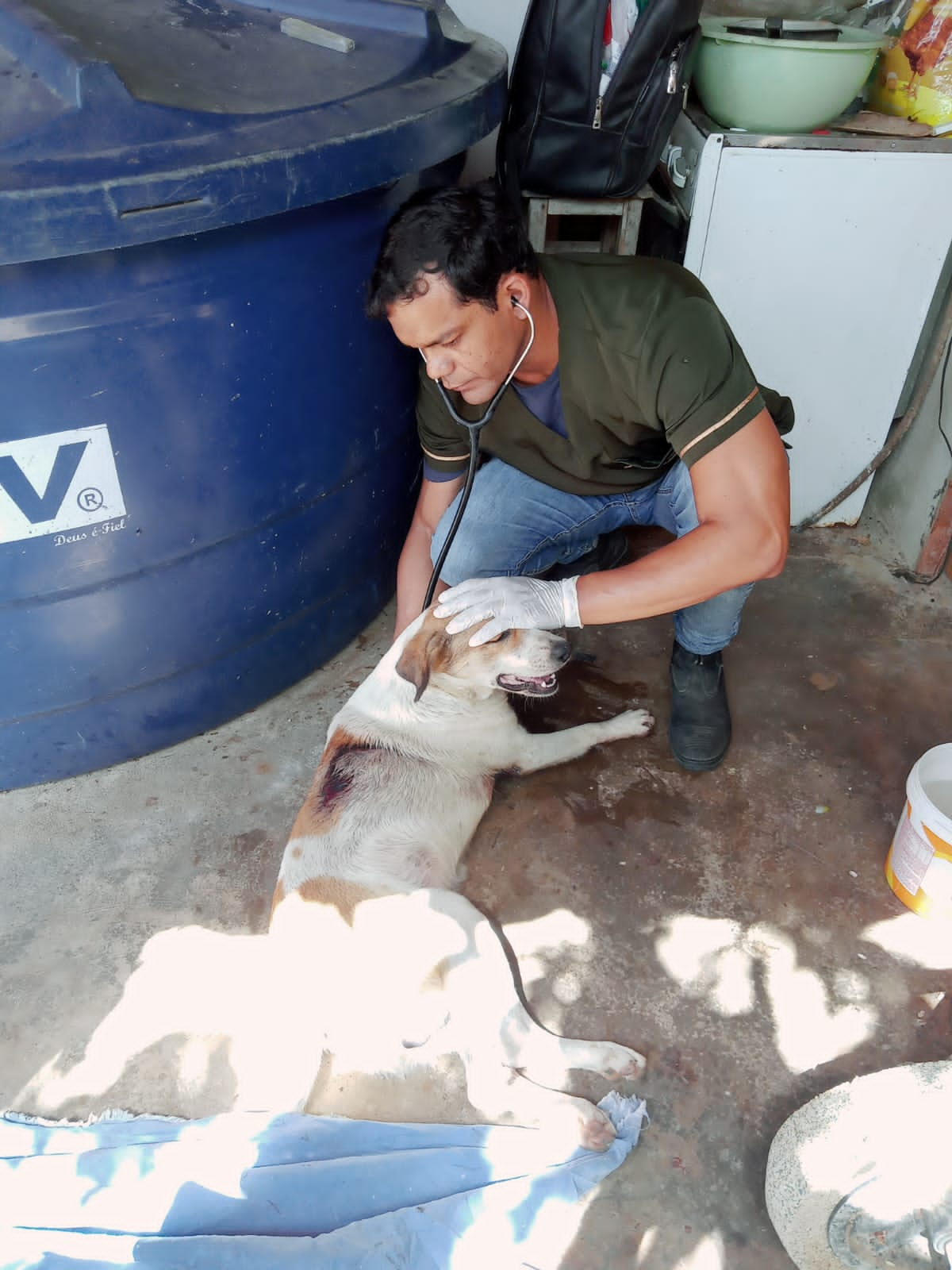 Polícia Civil do RN autua homem que atirou e arrastou animal em Rafael Godeiro