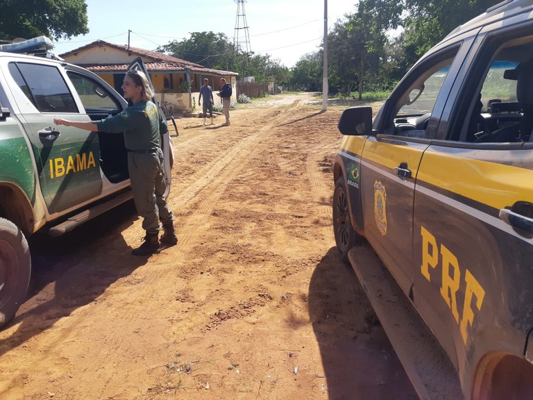 PRF atua em ação integrada com o IBAMA no combate a crimes ambientais contra a fauna no RN