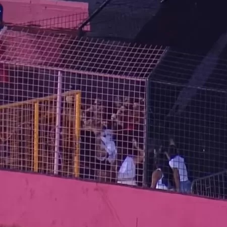 VÍDEO: Com apenas mulheres e crianças na arquibancada, Sport X ABC tem briga e troca de tapas