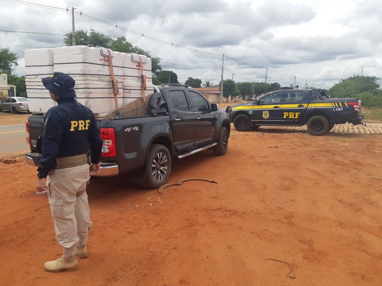 PRF apreende 229 kg de lagosta pescada ilegalmente no interior do RN