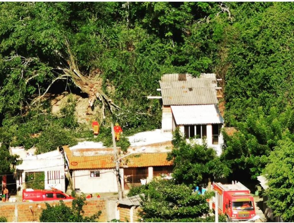 Árvores caem por cima de casas no bairro Tirol, em Natal