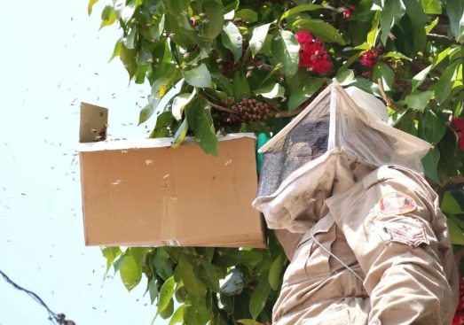Bombeiro é socorrido e internado após abelhas invadirem roupa de segurança
