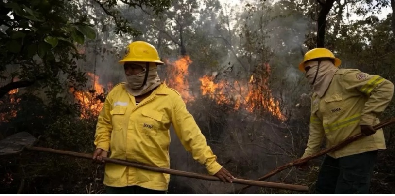 Amazônia tem o mês de junho com mais queimadas desde 2007