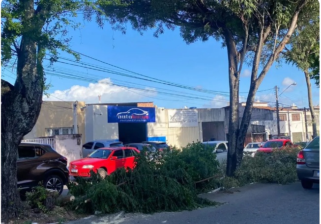 Moradores protestam contra retirada de árvores na avenida Jaguarari para obra da STTU em Natal