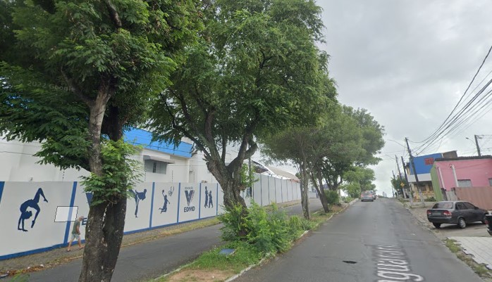 Após protestos, Prefeitura de Natal recua e suspende remoção de árvores na Jaguarari