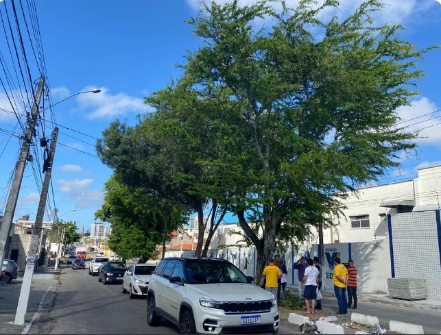 Prefeitura de Natal deve retomar remoção de árvores na Rua Jaguarari, diz STTU