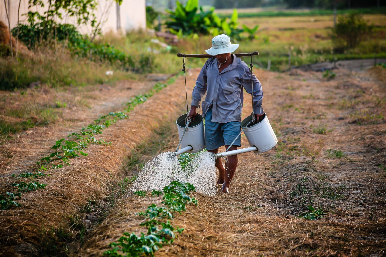 SEMAPE promove Dia de Campo para fortalecer a agricultura familiar