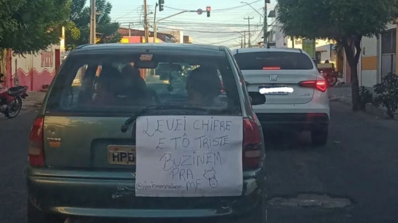 Homem leva chifre e coloca cartaz no carro em Mossoró: 'Tô triste, buzinem pra me'