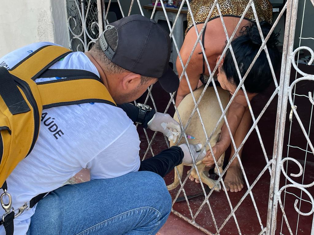 Prefeitura de Macaíba realiza vacinação de cães e gatos; confira a programação