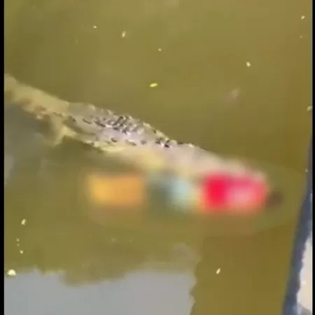 Jogador de futebol é morto por crocodilo enquanto tomava banho de rio