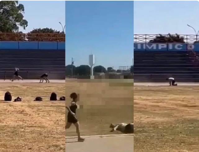 VÍDEO: Jovem de 25 anos morre após teste de aptidão física em concurso da PM