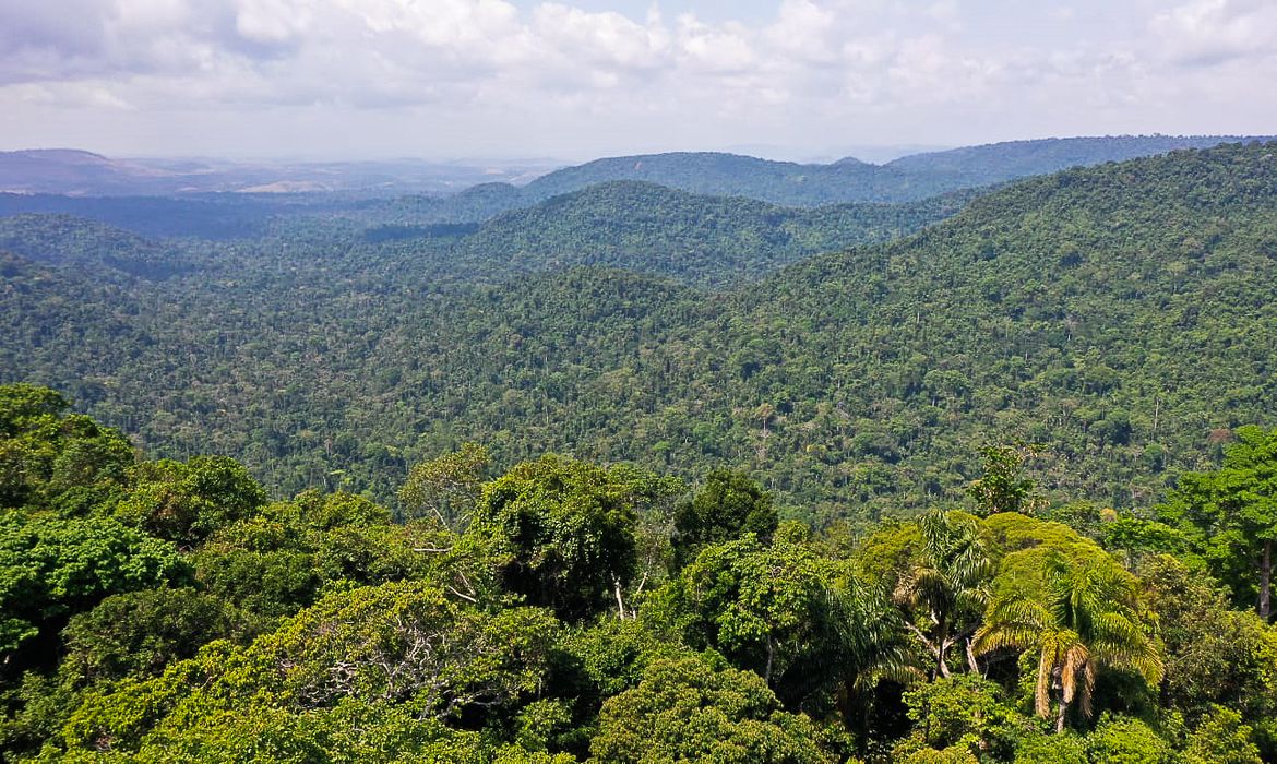 Mês de julho registrou a maior destruição da Amazônia em 2023