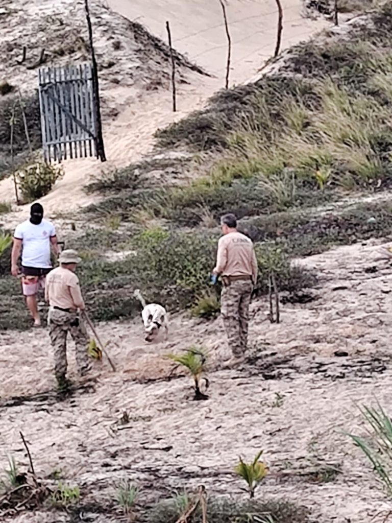 Polícia deflagra operação de combate ao tráfico de drogas em Nísia Floresta