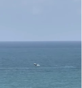 VÍDEO: Baleias são vistas na praia de Pipa e surpreendem moradores e turistas