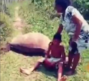 VÍDEO: Criança chora ao ver égua de estimação morta com tiro na cabeça no RN