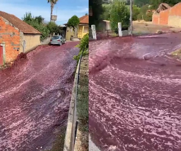 VÍDEO: cidade em Portugal é atingida por correnteza de vinho; ASSISTA