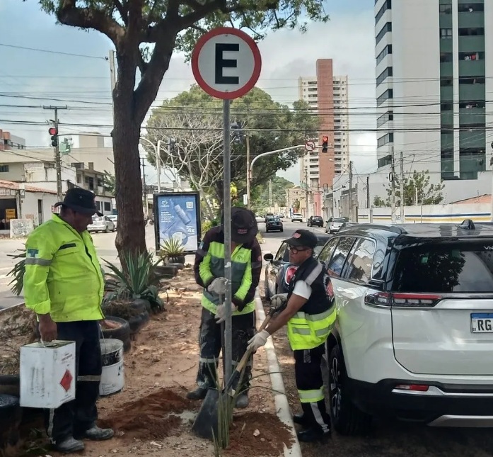 STTU libera estacionamento de veículos ao lado do canteiro central da avenida Antônio Basílio em Natal