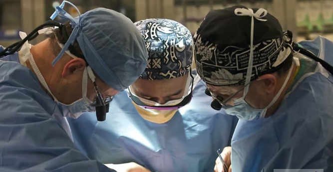 Médicos fazem transplante de coração de porco em paciente nos EUA