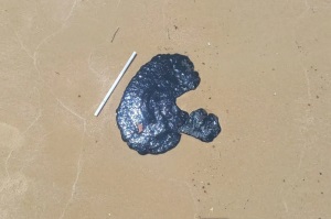 Presidente da Petrobras se manifesta sobre óleo encontrado em praias do RN