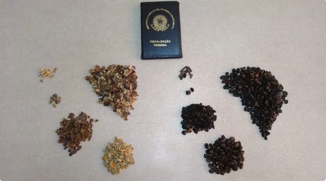 Governo recolhe 8 lotes de café por fraude e impurezas; veja lista