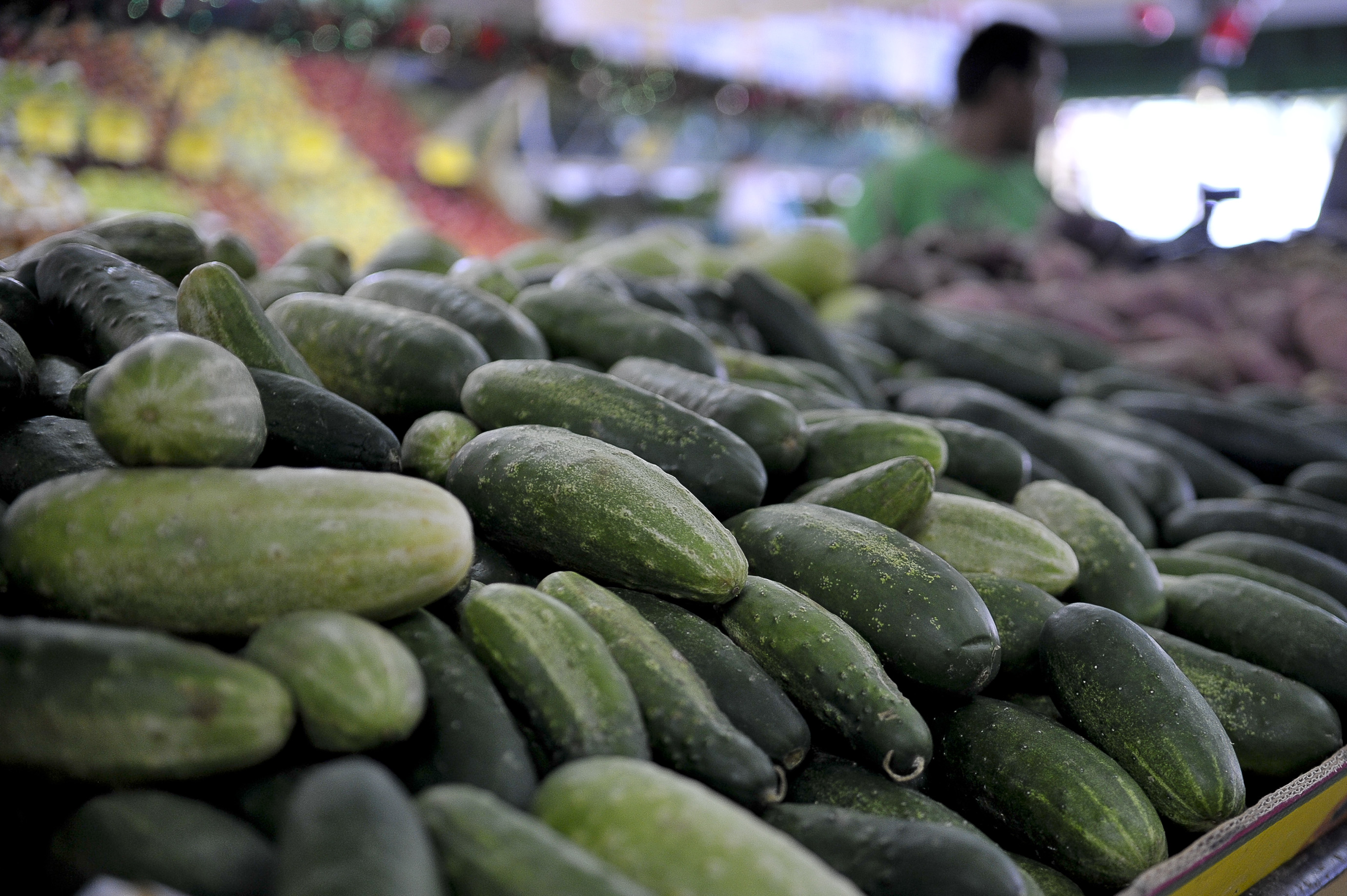 Cru ou em conserva, pepino faz bem para o intestino e o cérebro