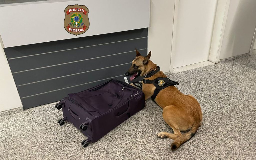 Polícia Federal prende no Aeroporto de Natal casal que traficava cocaína para Europa