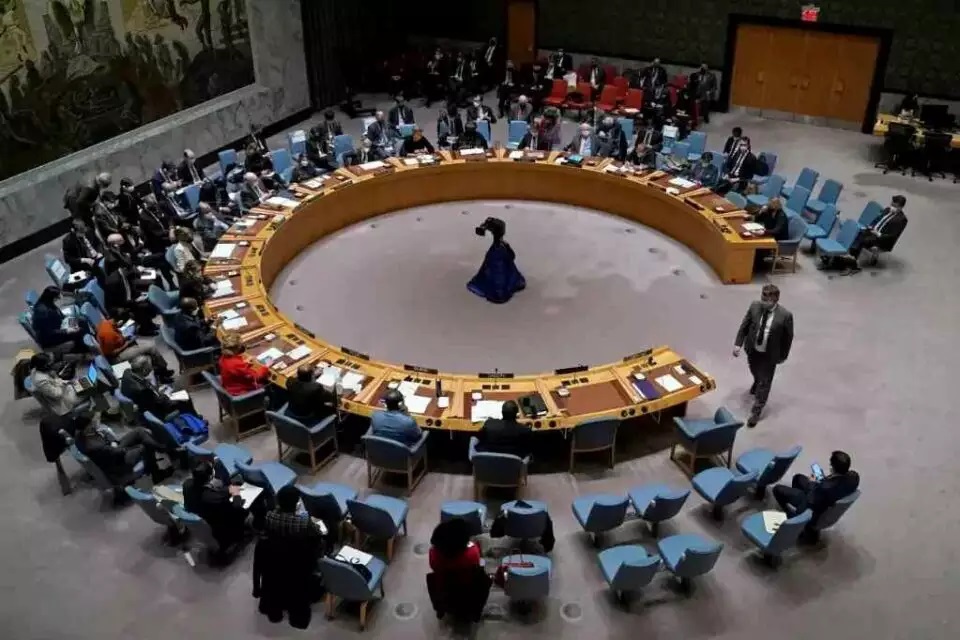 Brasil tenta manobra pró-terroristas na ONU, diz jornal
