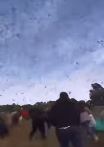 VÍDEO: Bilionário faz ‘chover’ dinheiro ao jogar 1 milhão de dólares de helicóptero