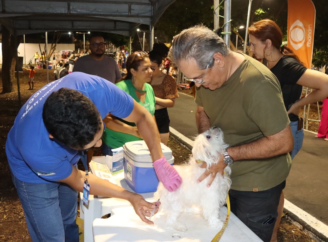 Campanha Antirrábica 2023: confira locais de vacinação deste sábado (28); confira