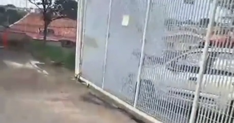 VÍDEO: Criança de três anos foge da creche e vai à casa de bisavó