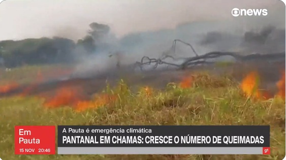 [VÍDEO] Pantanal registra um milhão de hectares queimados em 2023
