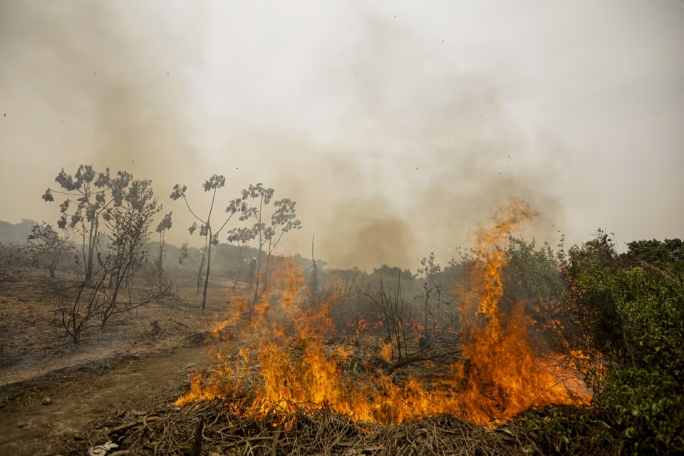 Incêndio devasta 200 hectares de Mata Atlântica na Bahia