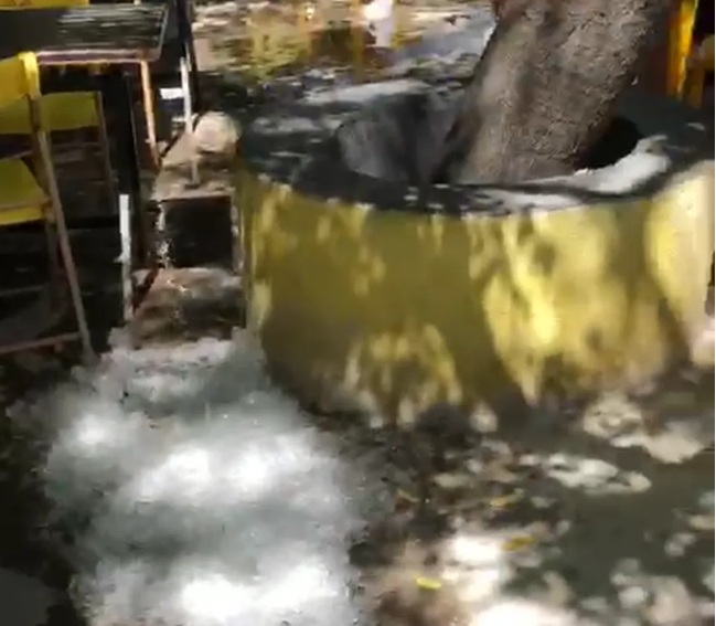Bar em Caicó espalha gelo no chão para amenizar calor e vídeo viraliza; ASSISTA