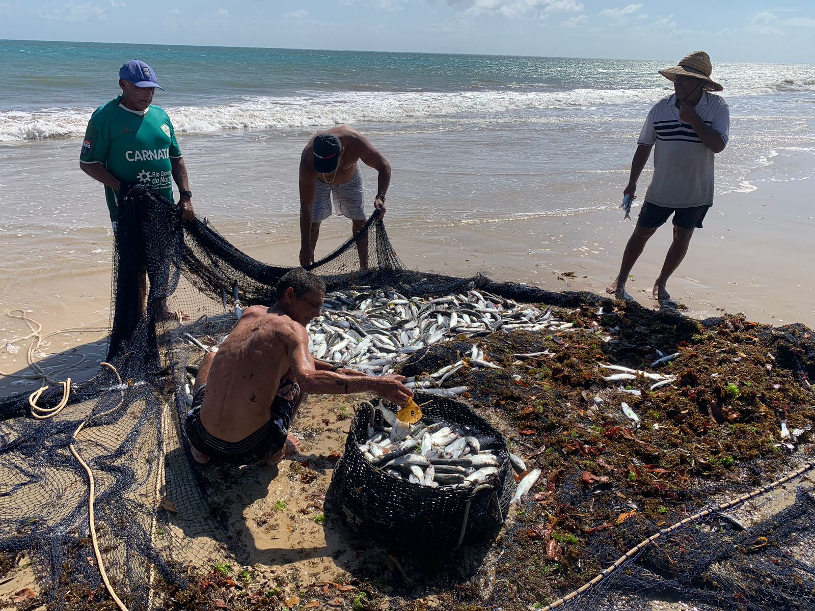 5 mil tainhas são pescadas em apenas um lance em Pirangi do Norte; veja