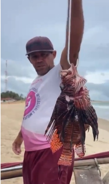 Pescador potiguar captura peixe-leão no litoral do RN