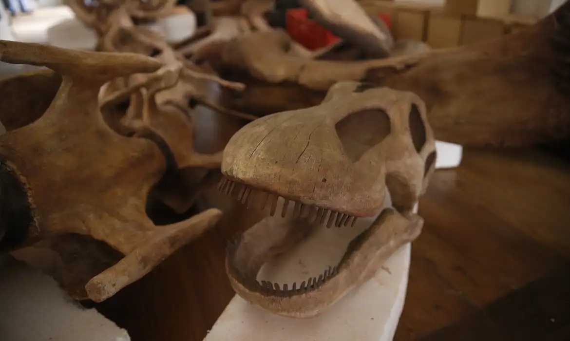 Entenda como aconteceram as extinções em massa e como será a próxima