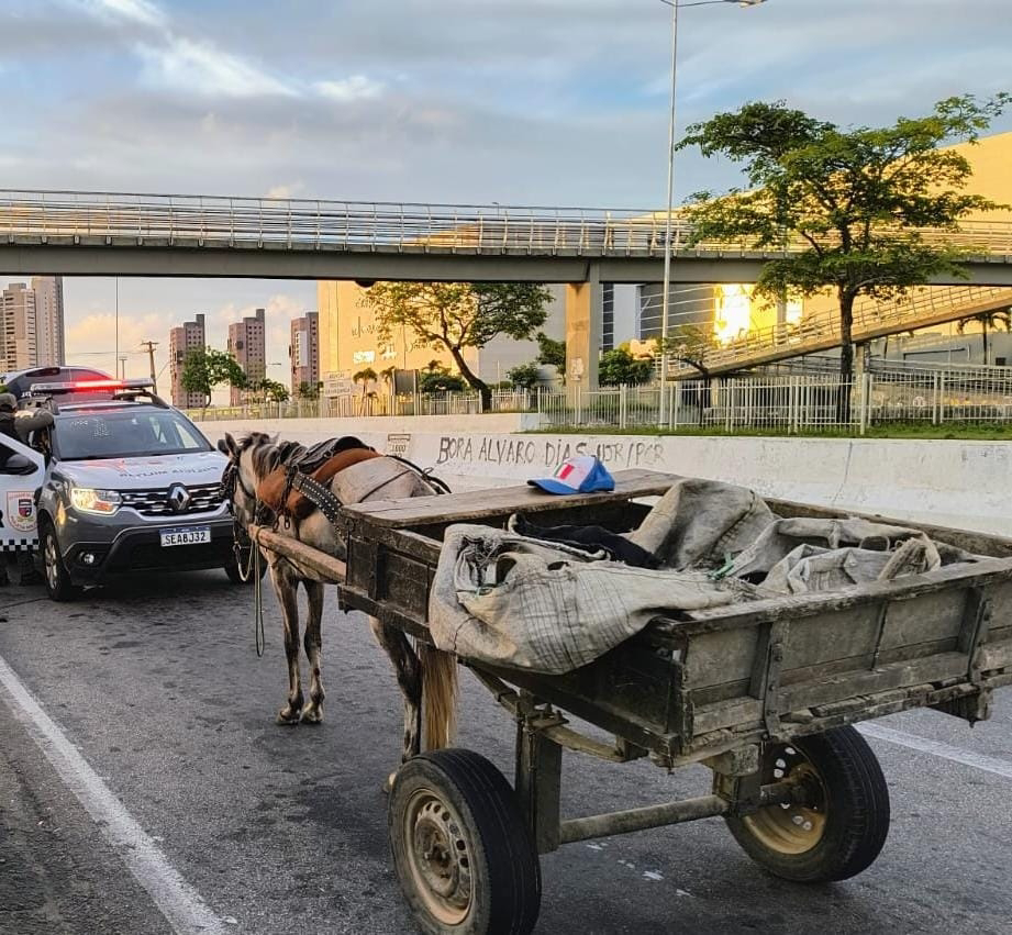 Carroceiro é preso com TV, cervejas e carnes furtadas de restaurante em Ponta Negra