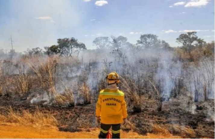 Brasil perdeu área maior do que o Acre para as queimadas em 2023