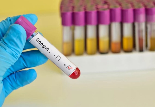 Casos de dengue aumentam 43,9% no RN e 47% em Natal